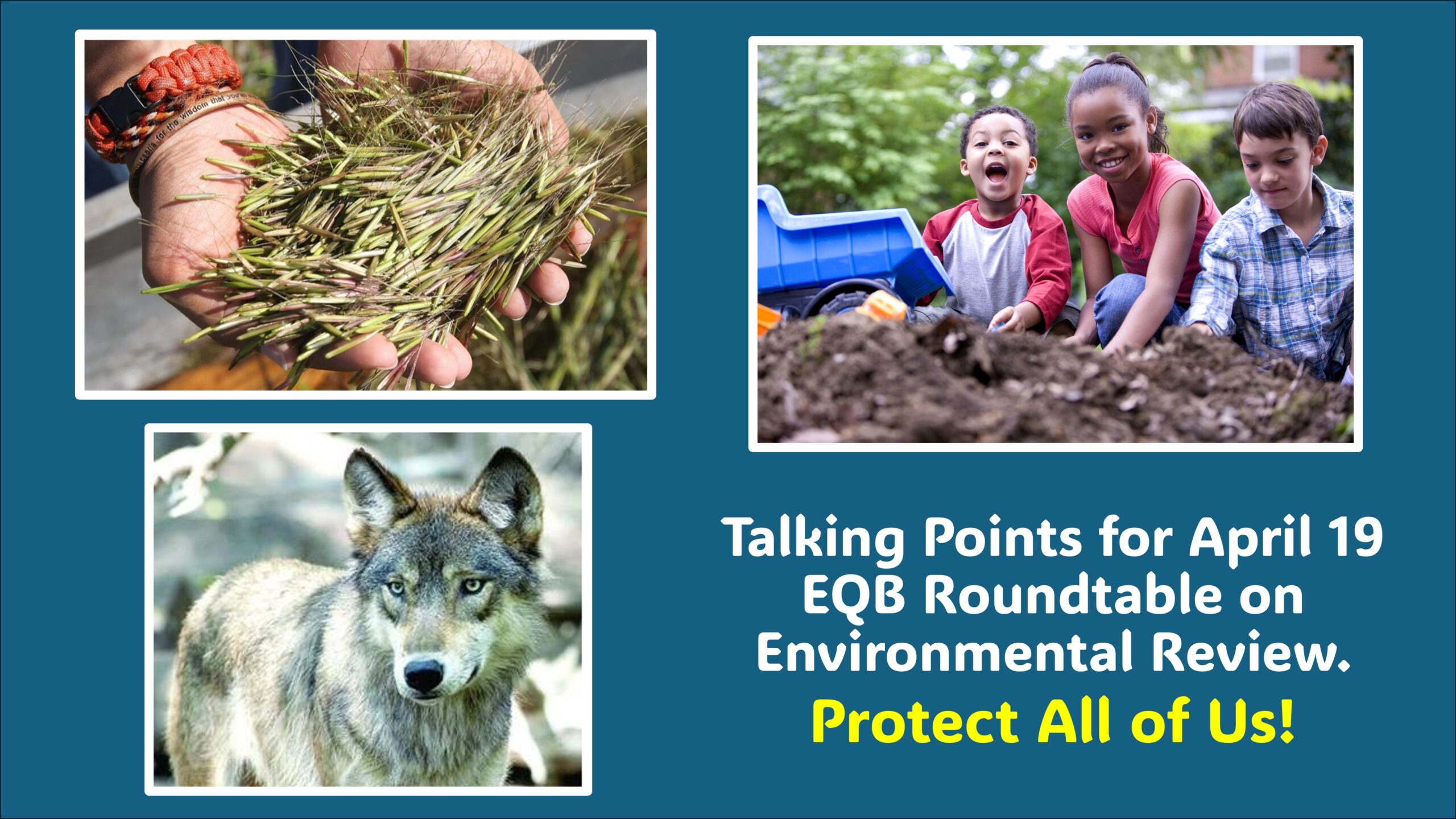 EQB Rules Salsa Talking Points Banner